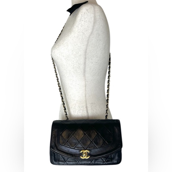 CHANEL DIANA SMALL Single Flap RARE Quilted Logo Lambskin Chain Bag - Picture 3 of 13